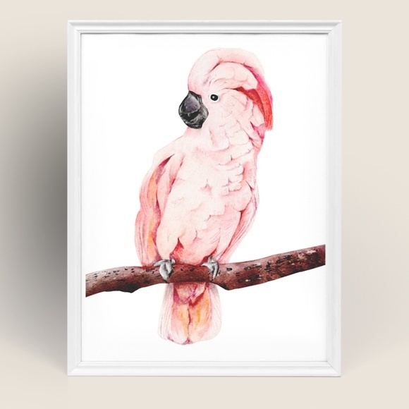 Wall Art Tropical Bird Portrait Print Unframed - Picture 7 of 15